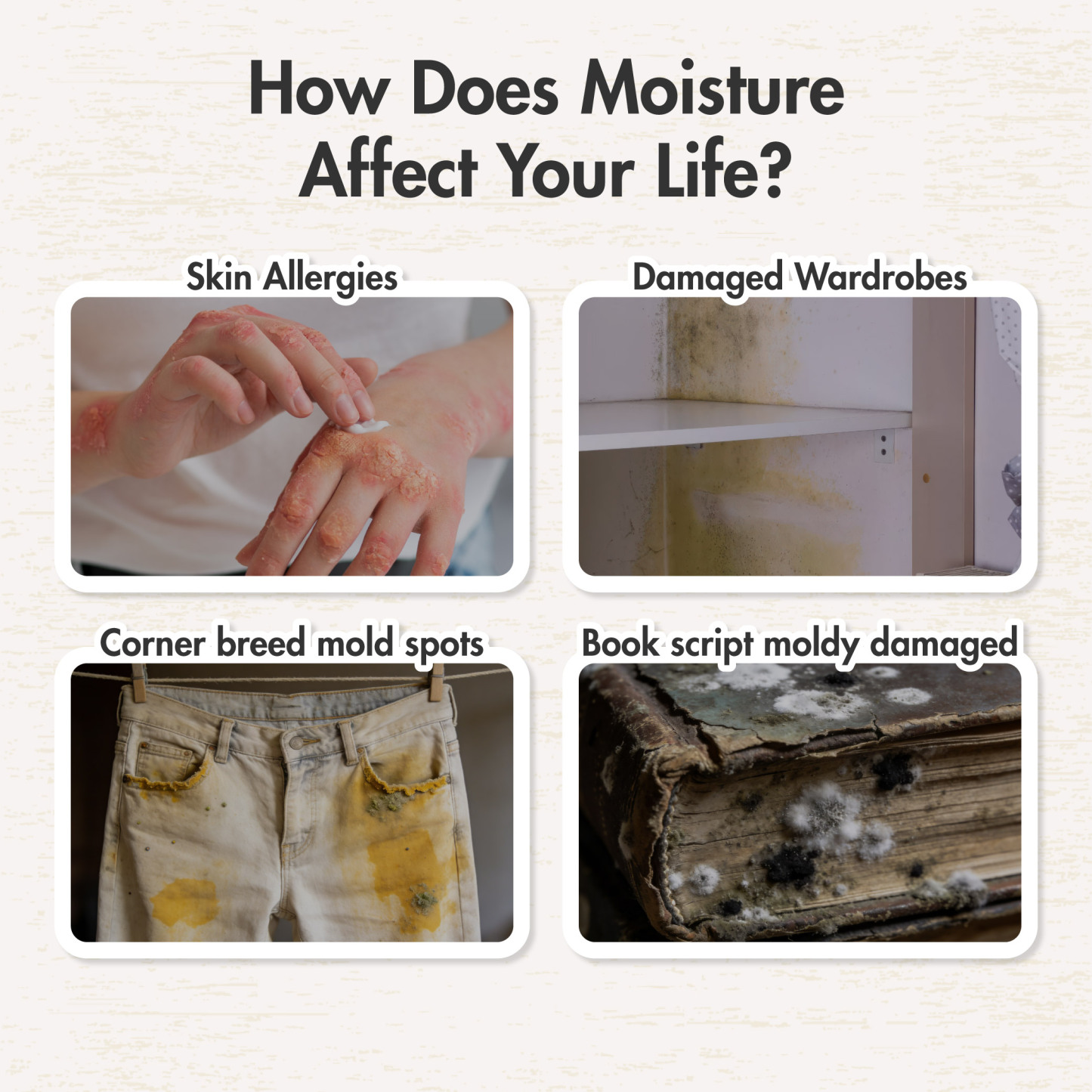 HOUZE - HUMIPOD 'Refillable Box' Activated Charcoal Dehumidifier