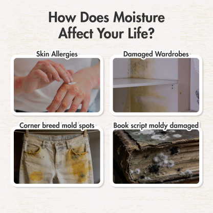 HOUZE - HUMIPOD 'Refillable Box' Activated Charcoal Dehumidifier