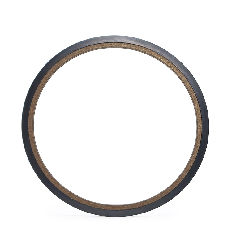 SPN PTFE oil seal