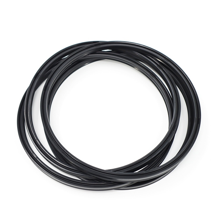 Gas seal oil seal