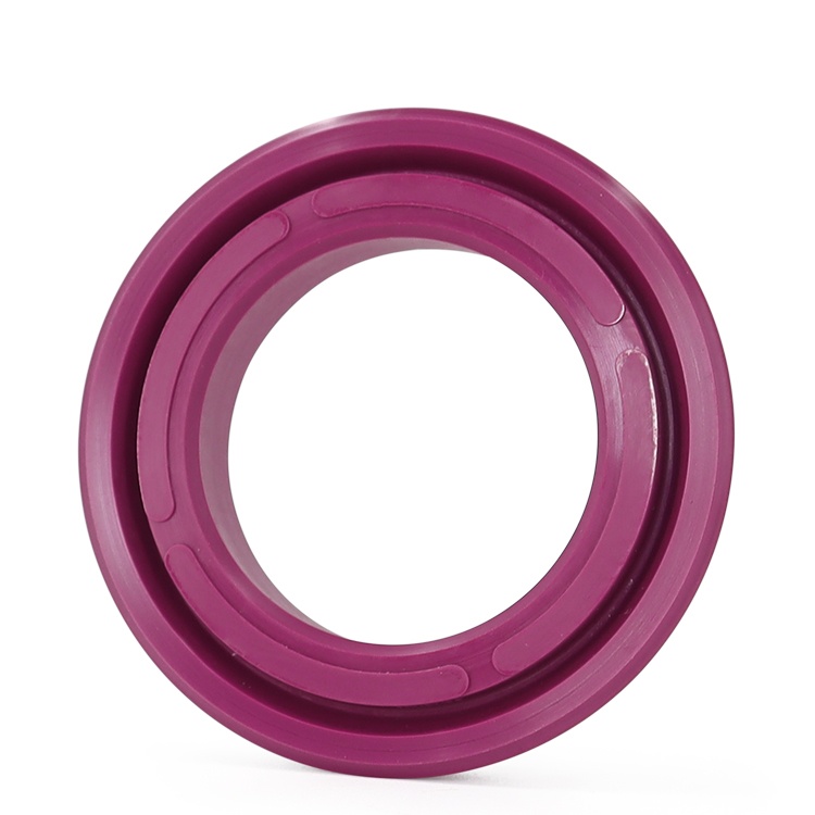 Fuchsia OUY oil seal