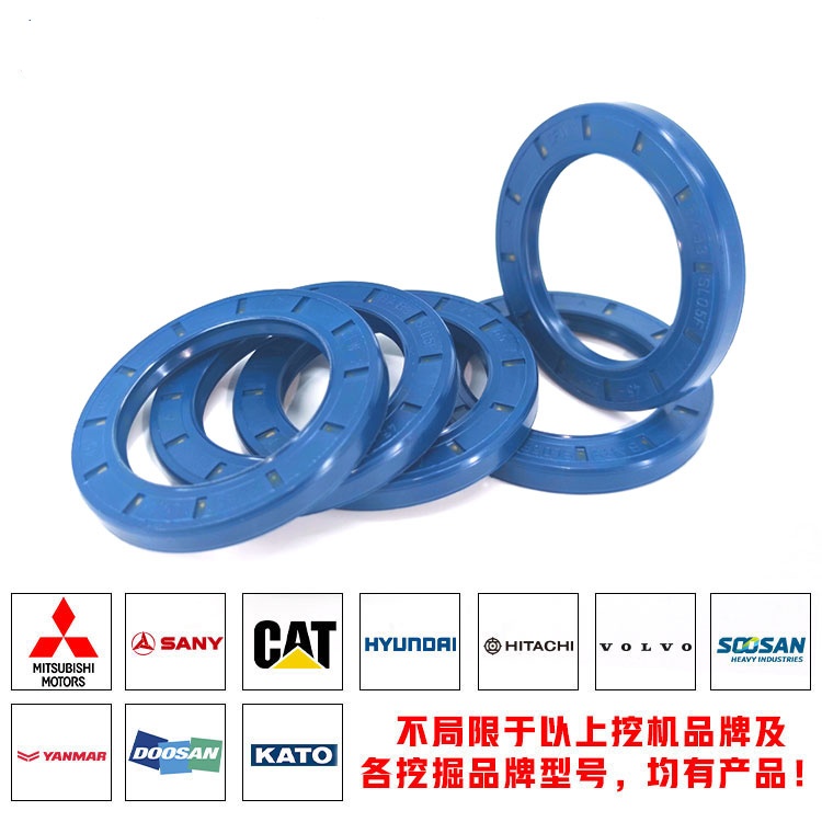 Skeleton oil seal blue