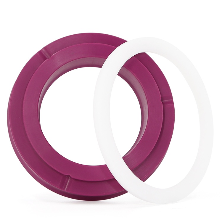 Fuchsia OUY oil seal