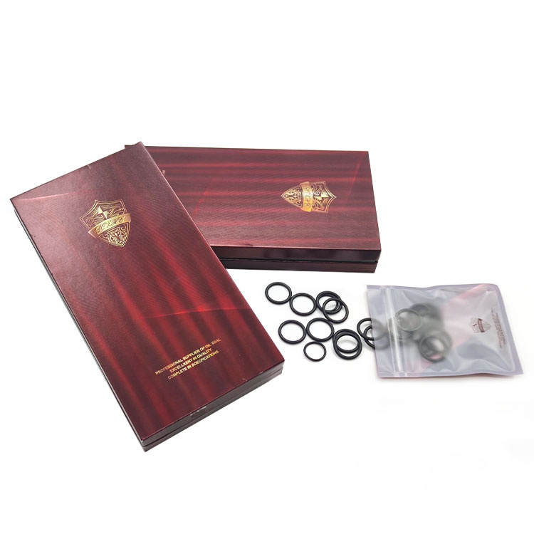 Hydraulic Pump Seal Kits rotary motor made in China