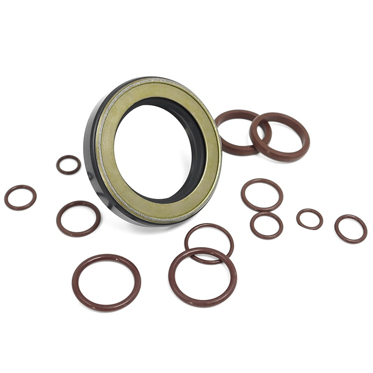 Hydraulic Pump Seal Kits Rotary motor FKM