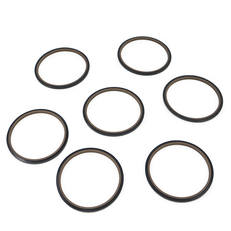 SPN PTFE oil seal