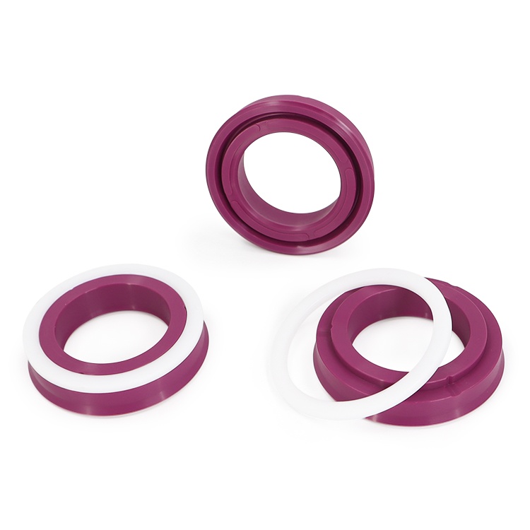Fuchsia OUY oil seal