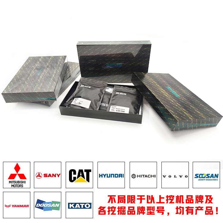 Hydraulic Pump Seal Kits Rotary motor Taiwan