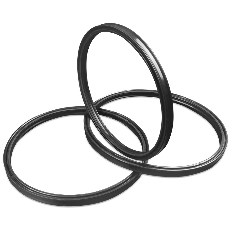 Gas seal oil seal