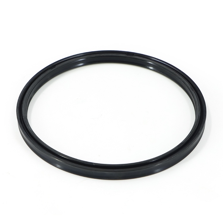 Gas seal oil seal
