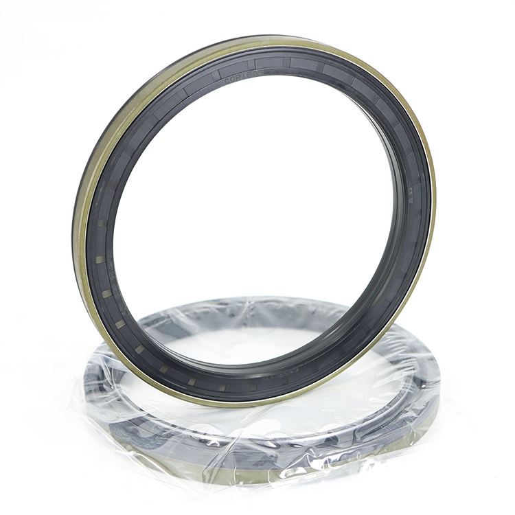 Hub oil seal