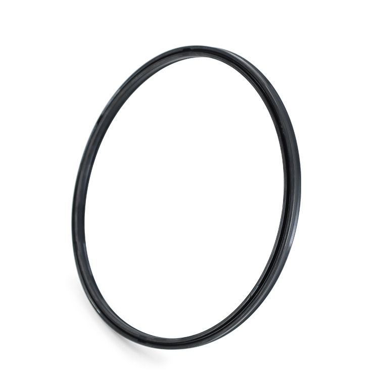 Gas seal oil seal