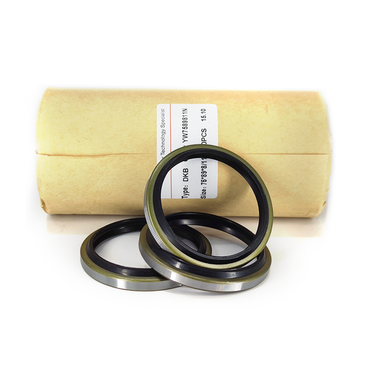 ordinary Adjust Seal Kit
