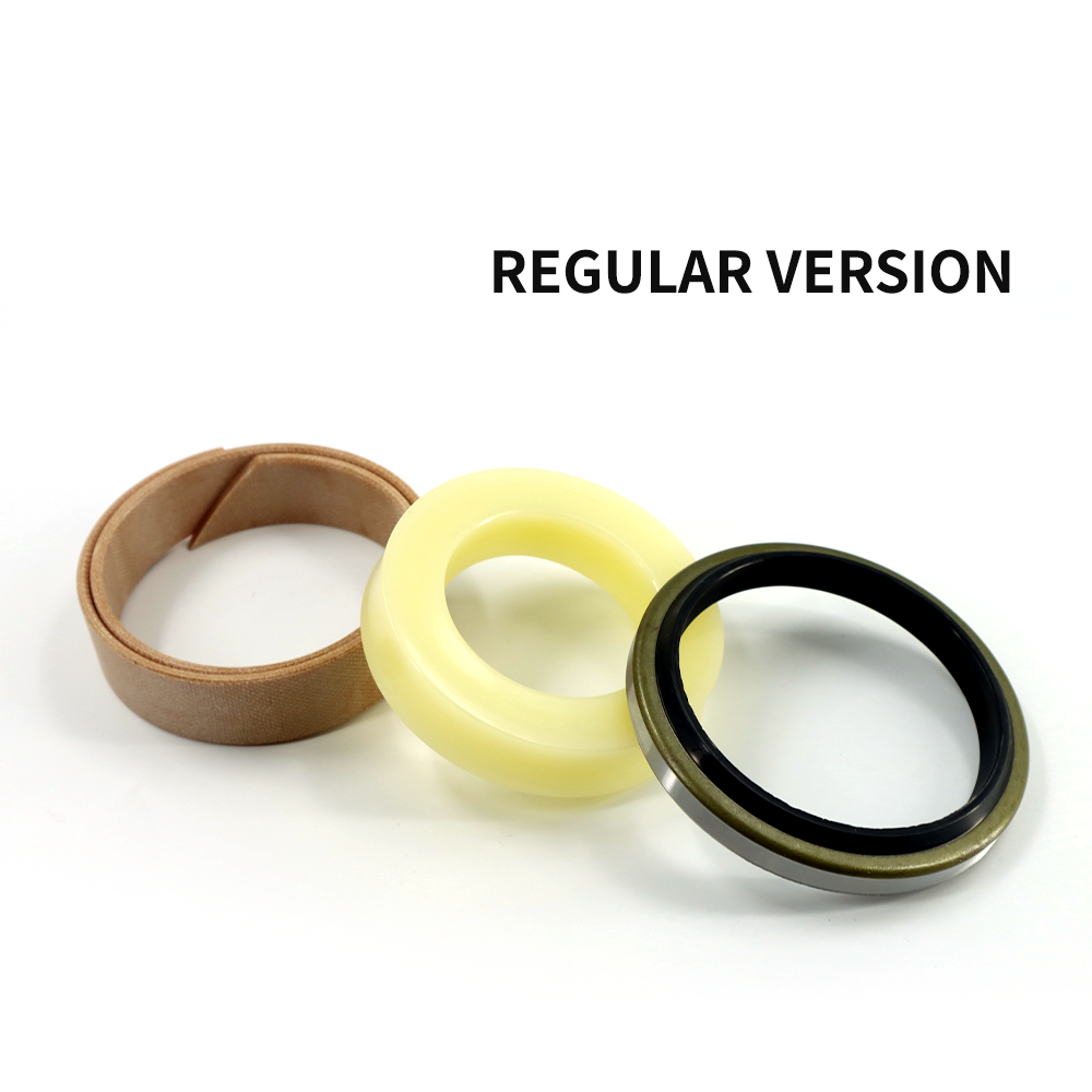 ordinary Adjust Seal Kit