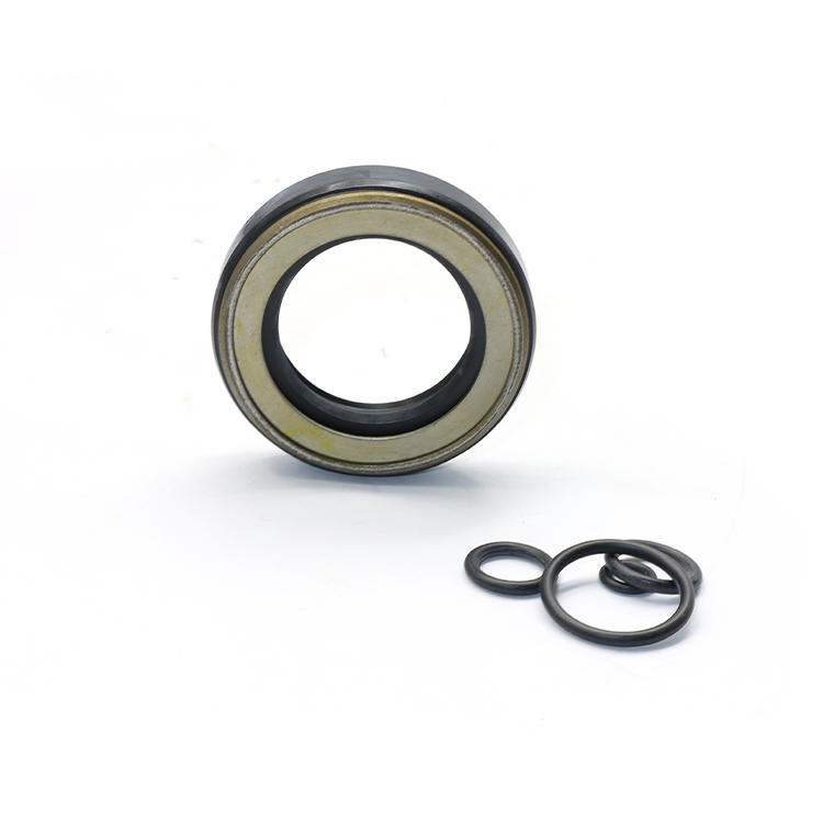 Hydraulic Pump Seal Kits ordinary