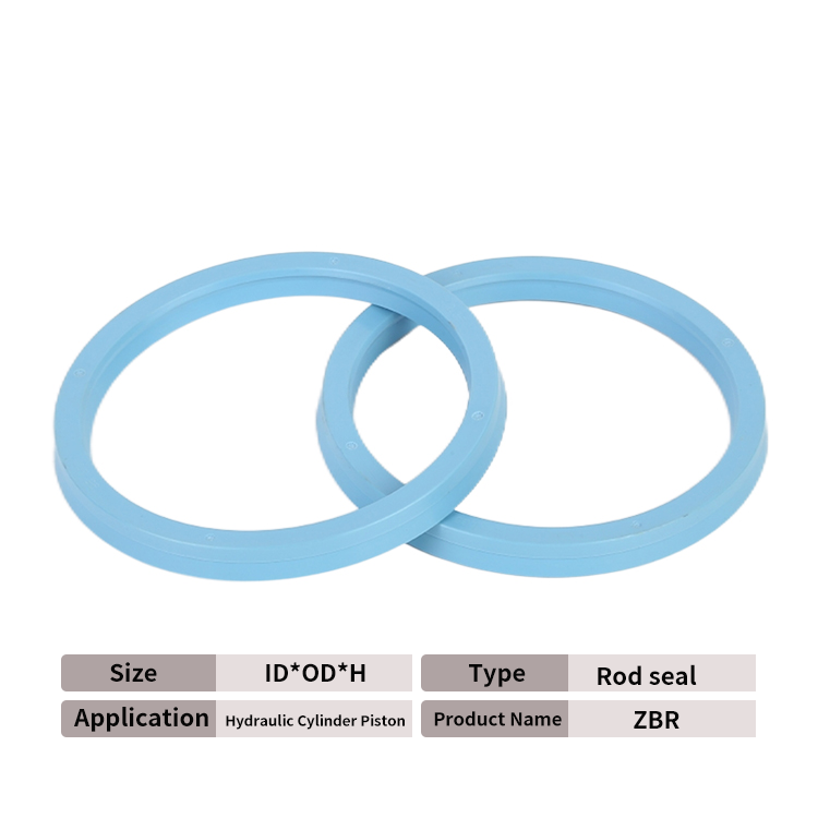 SKF ZBR oil seal
