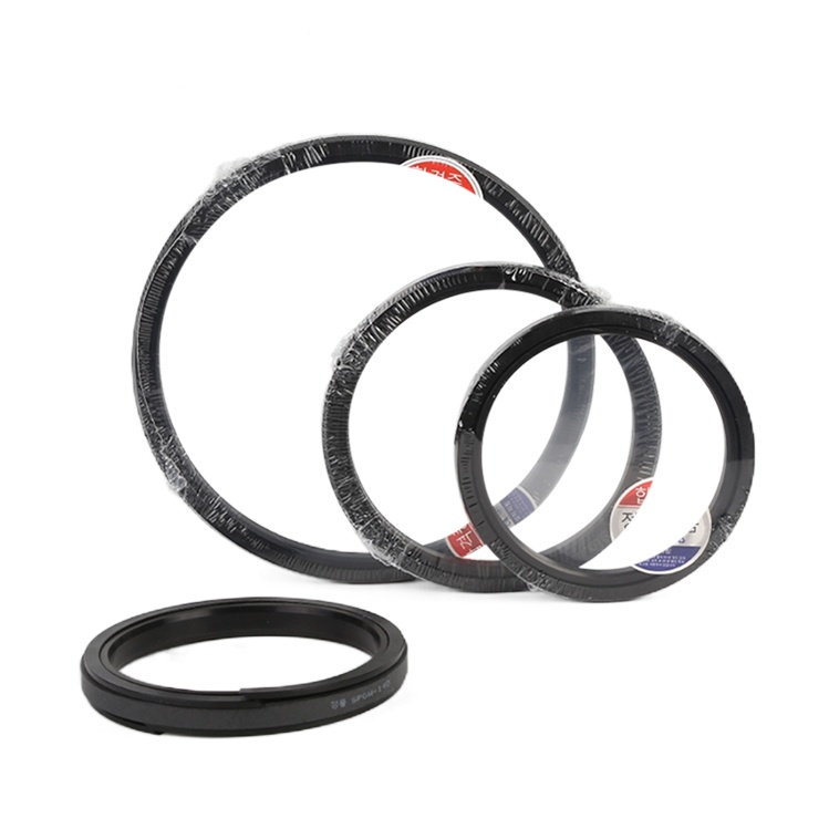 Piston oil seal SPGW