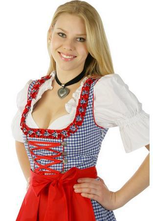 Womens Oktoberfest Bavarian Beer Maid Vintage Blue Checked Dress Costume