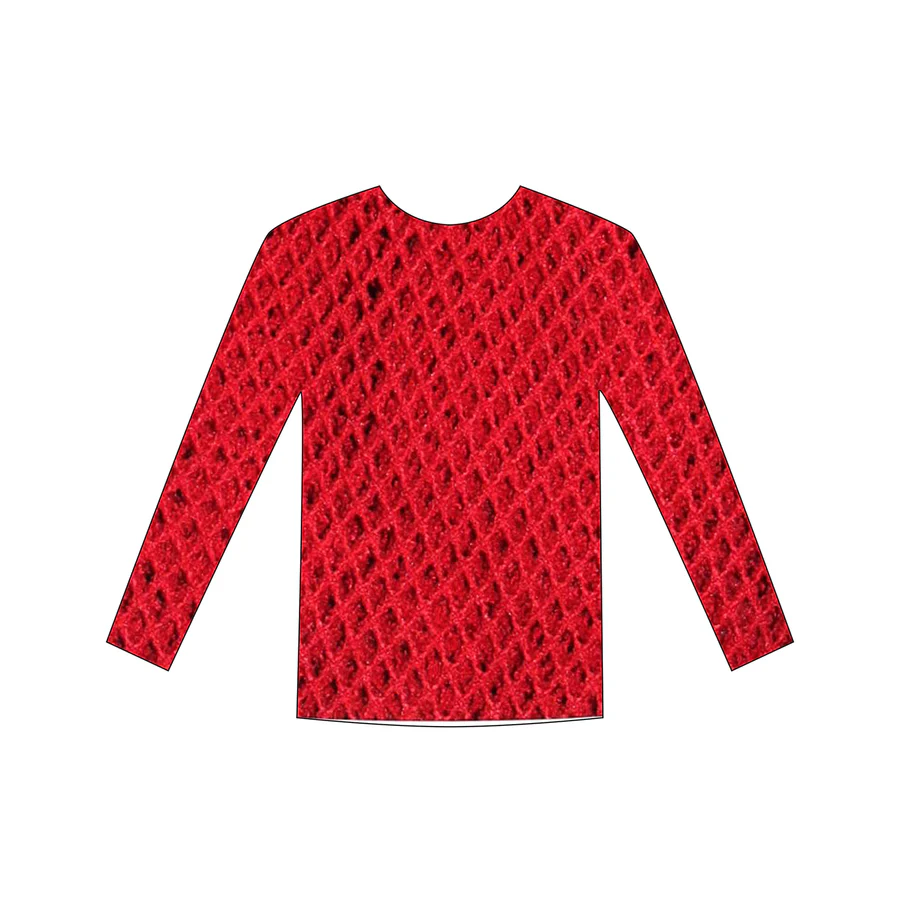 Fishnet Long Sleeve Top