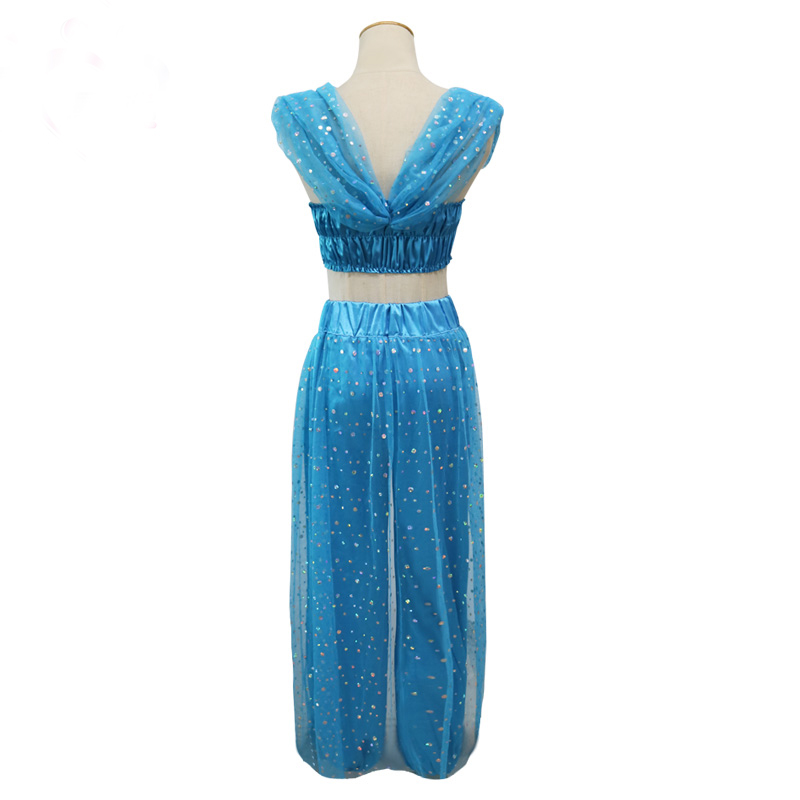 Womens Aladdin Princess Jasmine Costume Book Week Cosplay Fancy Dress