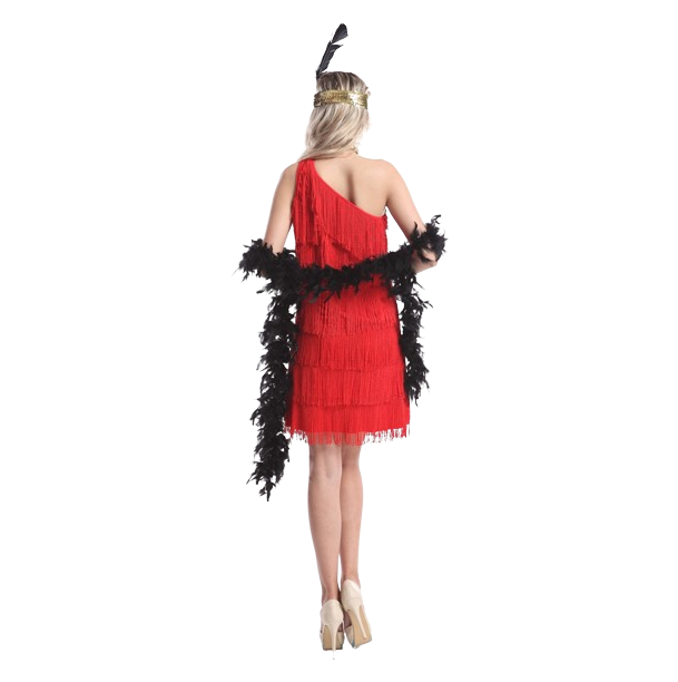 Ladies 1920s Roaring Flapper Costume Gatsby Fancy Dress