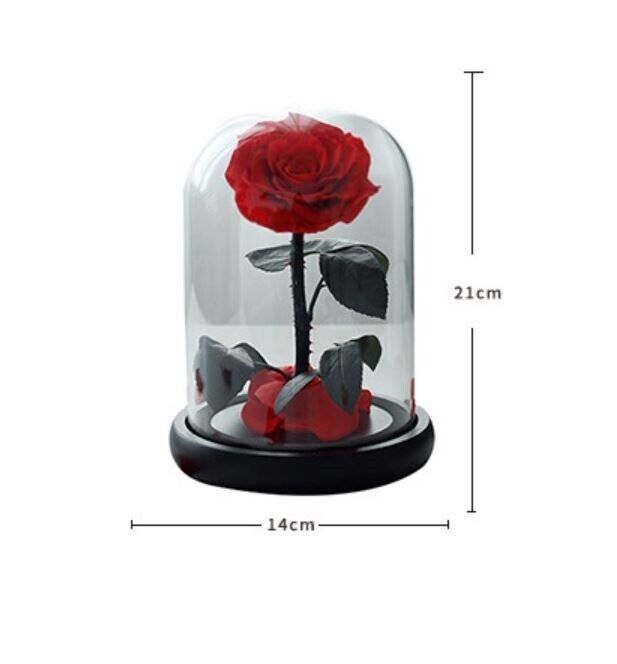 Eternal Preserved Red Rose in Glass Dome