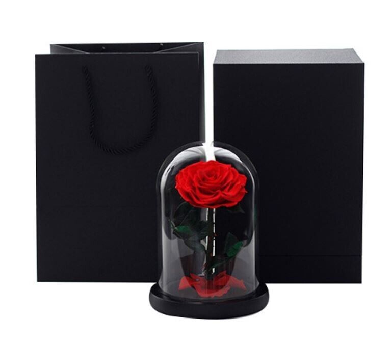 Eternal Preserved Red Rose in Glass Dome