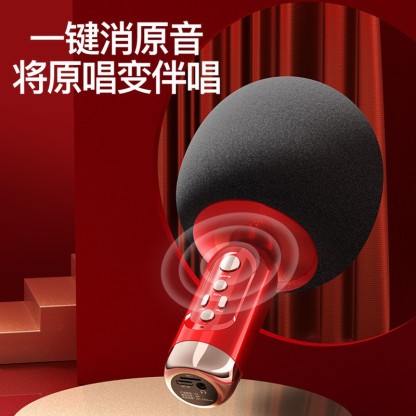 无线麦克风手机k歌宝 双麦对连蓝牙音响一体KTV唱歌话筒-Digicat 猫电澳洲