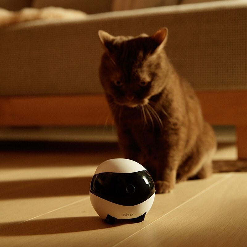 EBO AIR 智能家居伴侣机器人家庭监视器安全摄像头音频 32G1080P高清充电本身自动巡航检测-Digicat 猫电澳洲