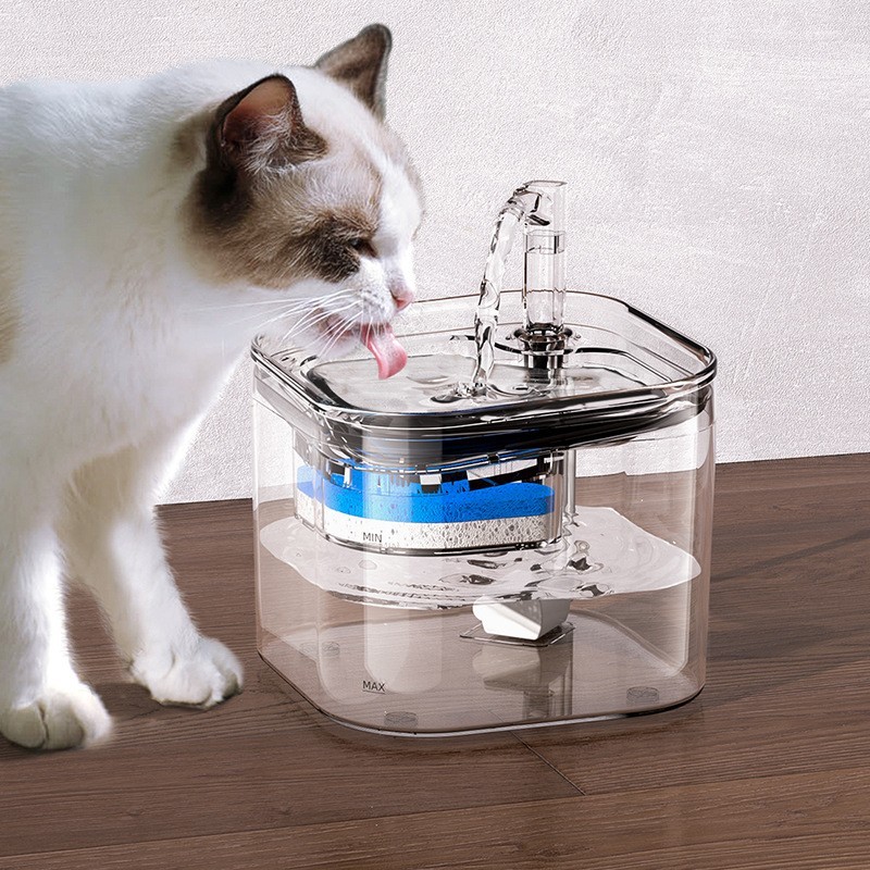 JPET 猫咪智能饮水机 智能感应过滤流动宠物通用-Digicat 猫电澳洲