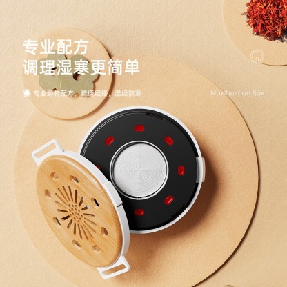无烟家用艾灸盒 智能温灸养生便携随身灸腰部颈椎艾灸熏蒸仪-Digicat 猫电澳洲