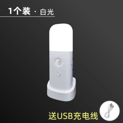 Digicat猫电澳洲-人体感应夜灯 智能人体感应小夜灯卧室USB睡眠灯