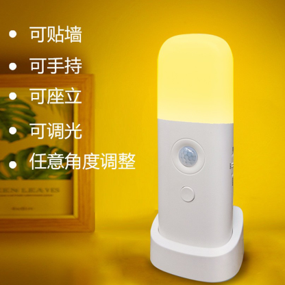 人体感应夜灯 智能人体感应小夜灯卧室USB睡眠灯-Digicat 猫电澳洲