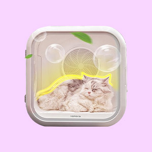 宠物生活/喂食器-Digicat 猫电澳洲