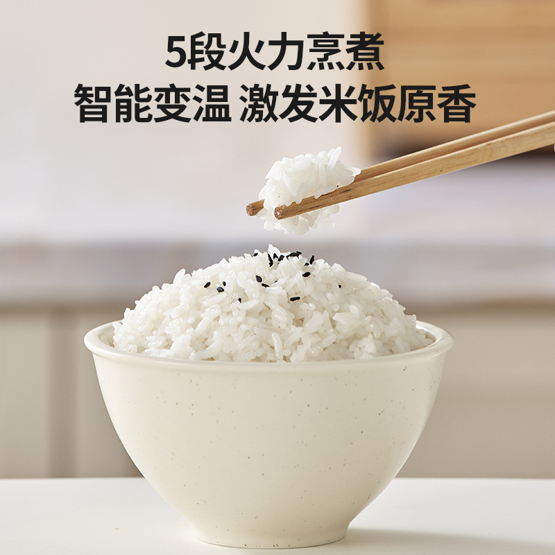 亿德浦316不锈钢0涂层 多功能沥糖电饭煲 3L