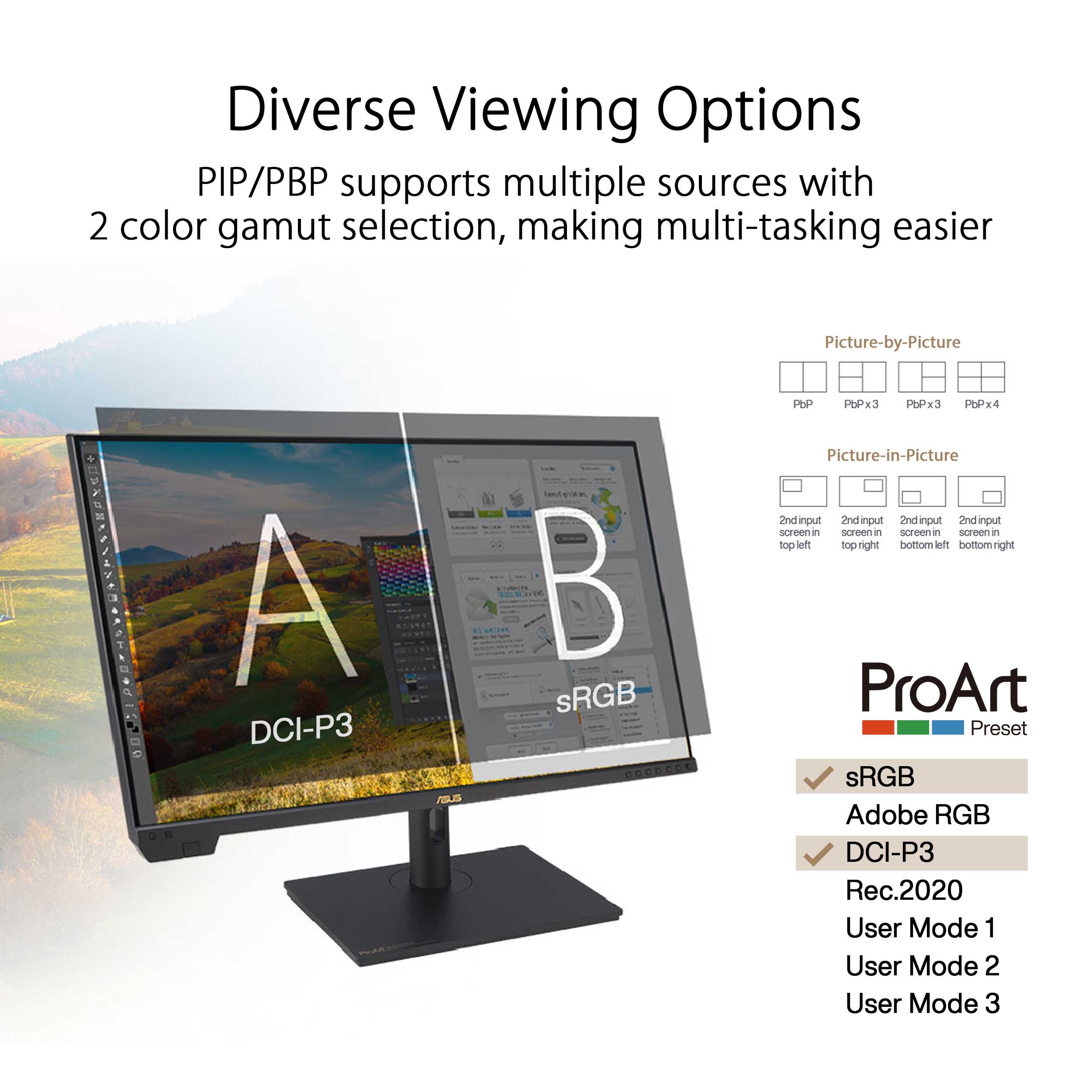 ASUS ProArt Display PA32UCXR Monitor