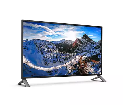 PHILIPS 438P1 42.51" 4K Ultra HD LCD display