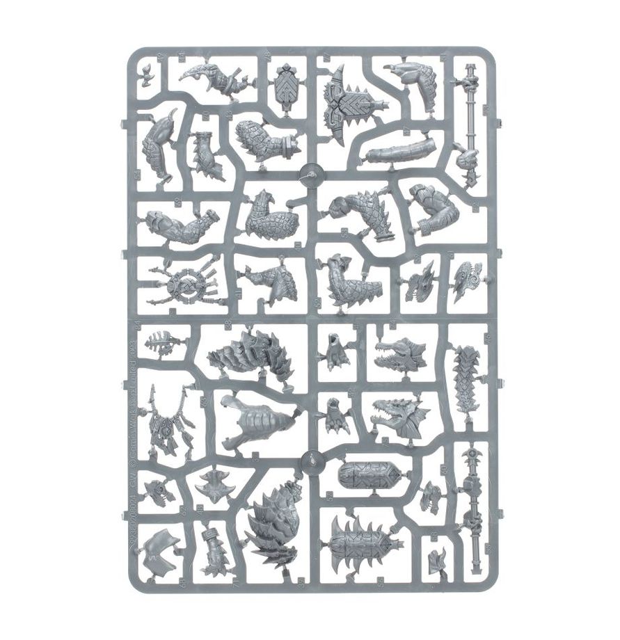 Warhammer Age Of SIGMAR Spearhead Seraphon