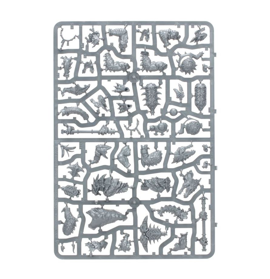 Warhammer Age Of SIGMAR Spearhead Seraphon