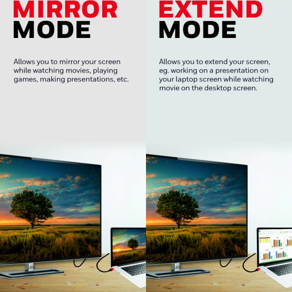 HONEYWELL Display Port To Display Port 2.0 Cable