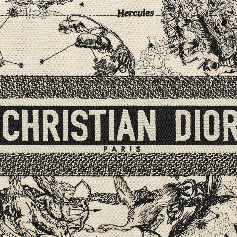 DIOR BOOK TOTE スモールバッグ Ref:M1296ZRHZ_M941 レディース