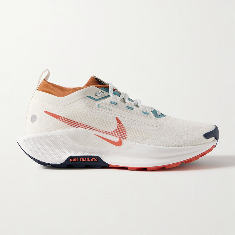 ナイキ ペガサス トレイル 5 ストレッチジャージーとラバートリムの GORE-TEX ランニングスニーカー シューズ メンズ