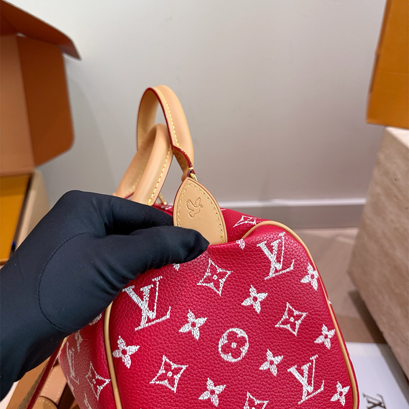 ルイヴィトン LOUIS VUITTON スピーディ Speedy P9  25cm ハンドバッグ