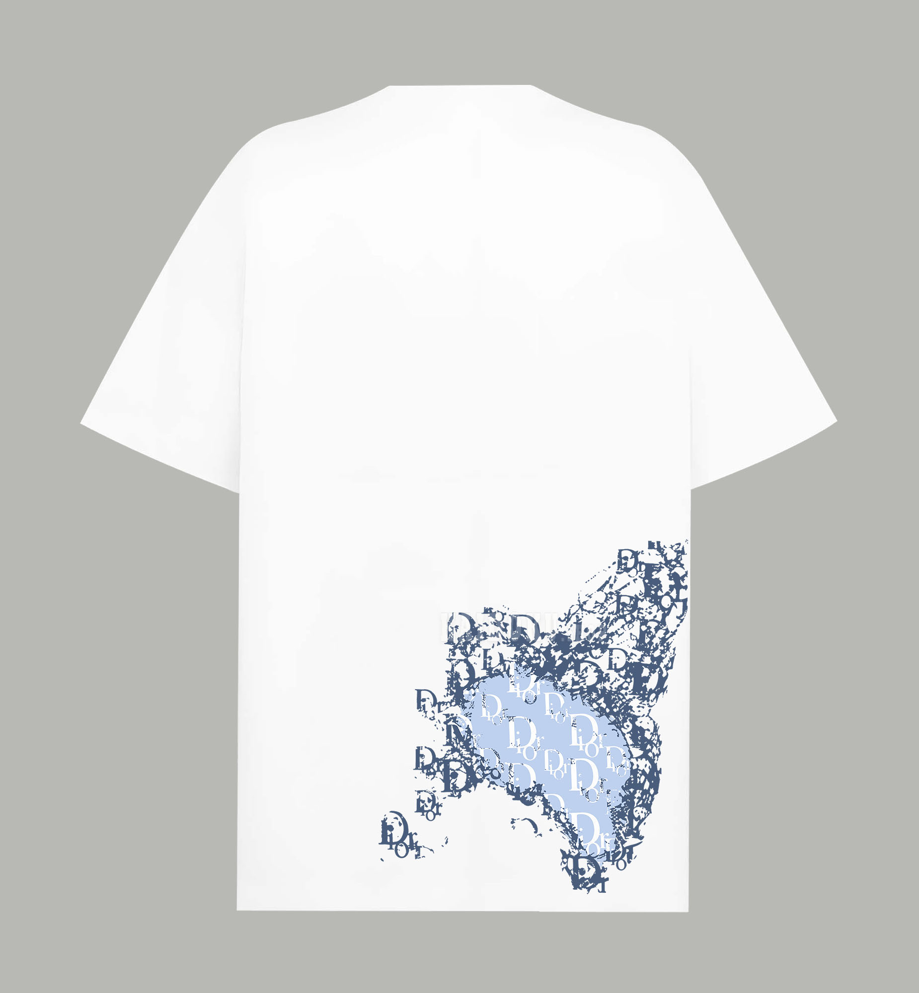 ディオール DIOR グラフィック Tシャツ プリントロゴ 半袖 2色 メンズ