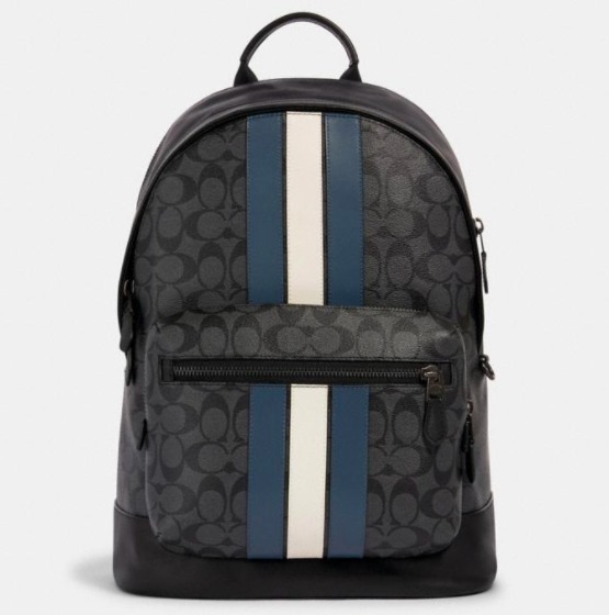 コーチ COACH レザー ストライプ モノグラム リュック バックパック メンズ レディース