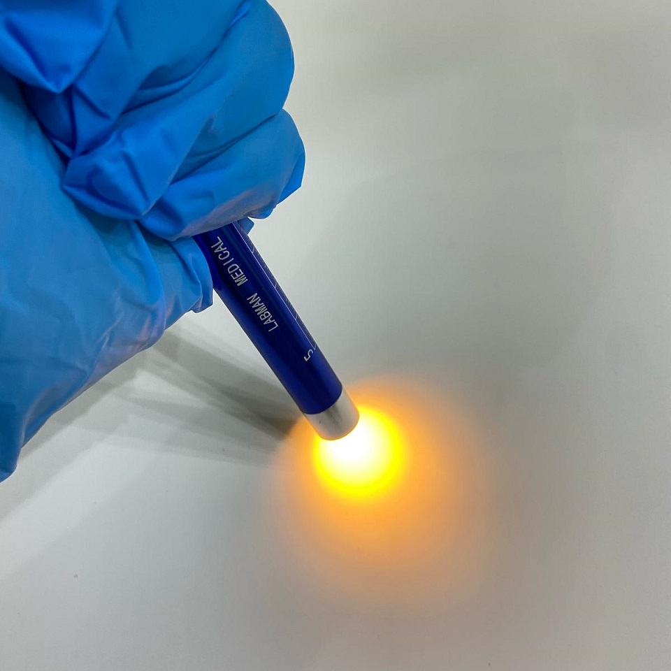 LABMAN BASIC NURSING BUNDLE