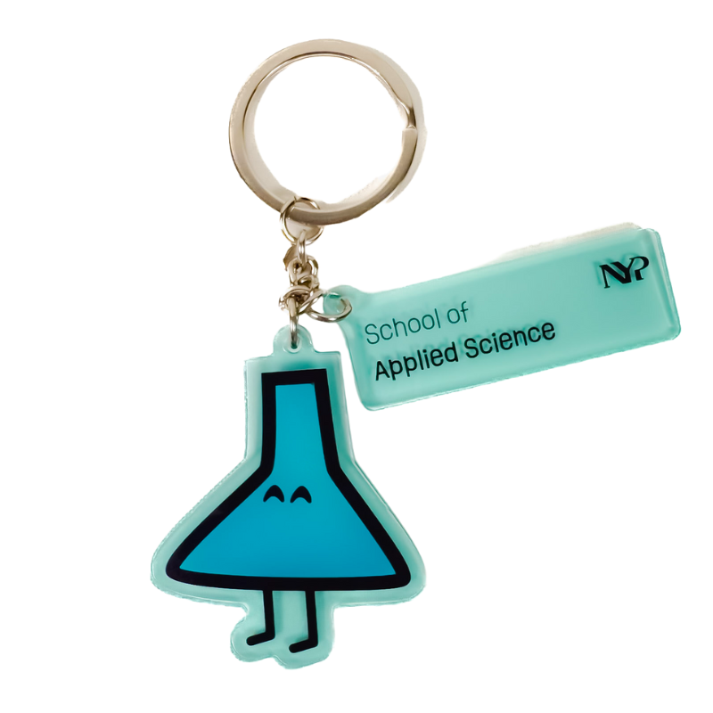 Nyps Key Chain