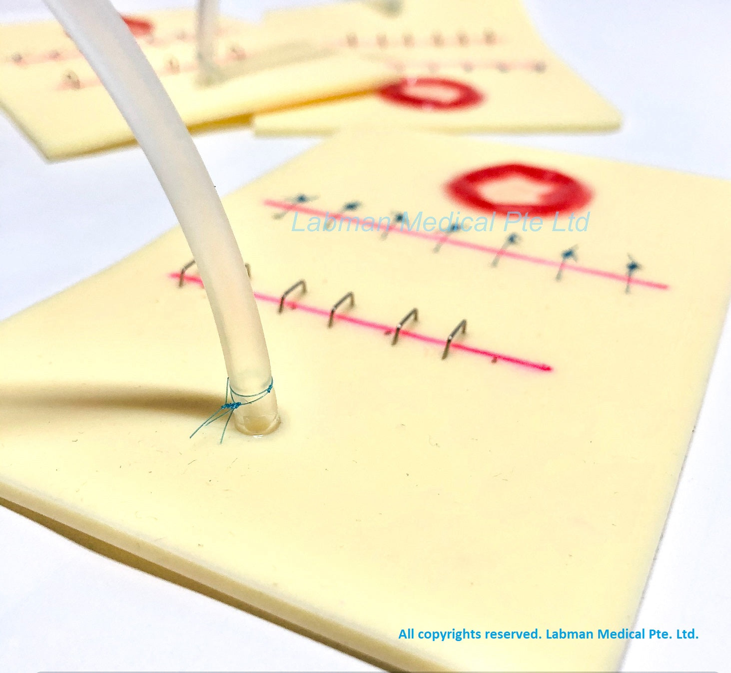 Labman Wound Care Training Pad