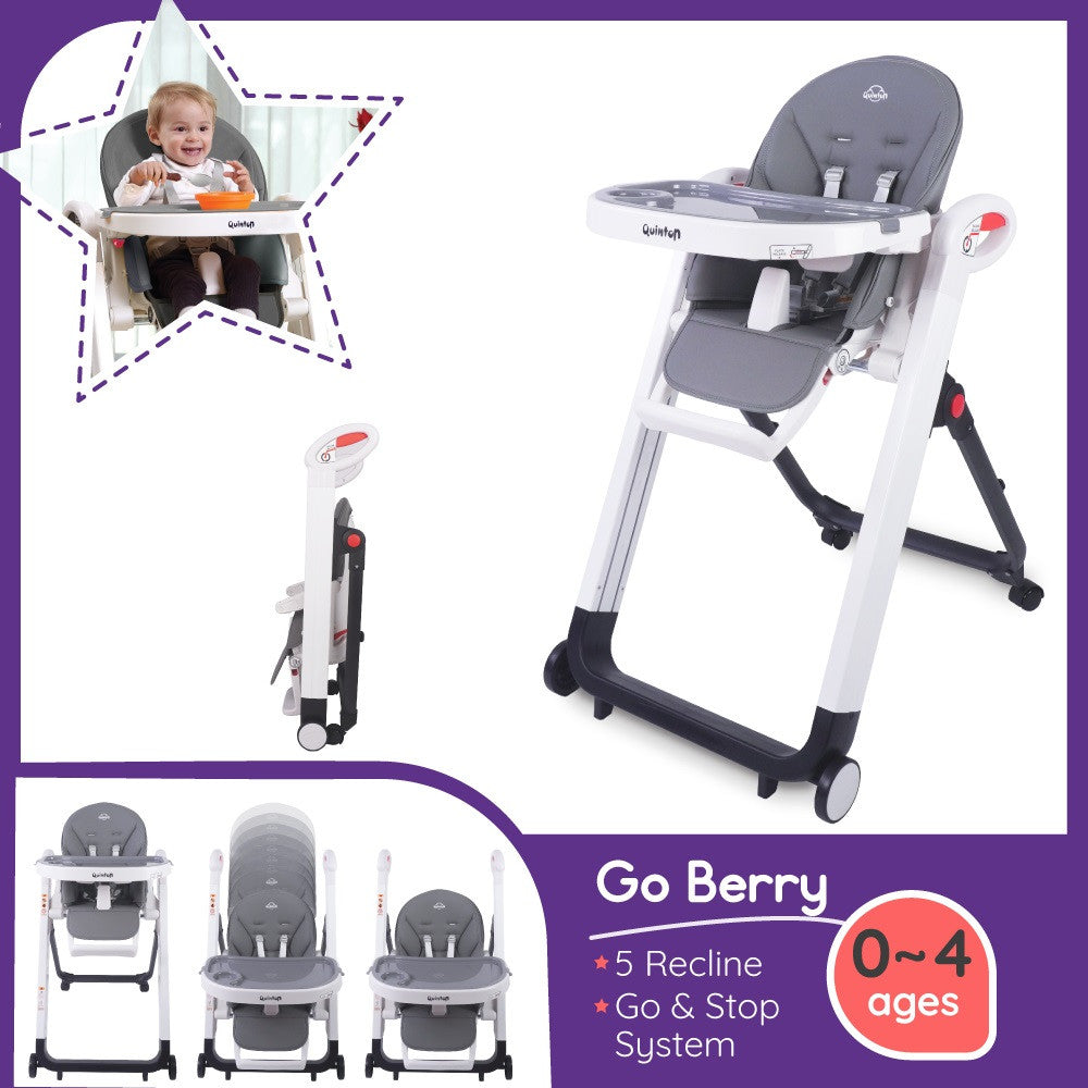 Quinton Go Berry Multifunction High Chair, Suitable For Newborn Baby to 4 Years Old, With 1 Year Warranty