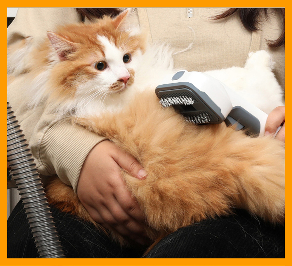 Electric Pet Grooming Cat Dog Hair Dryer Blower Brush Trimmer Vacuum Cleaner Kit